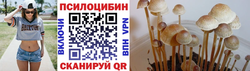 Галлюциногенные грибы ЛСД  Зеленокумск 